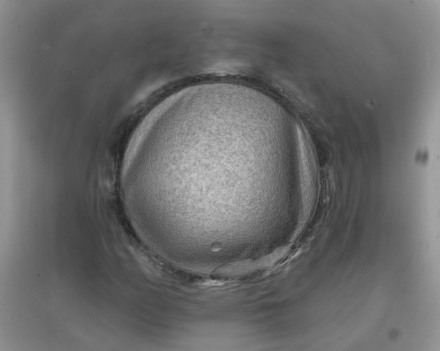 X0000097651158200803142103