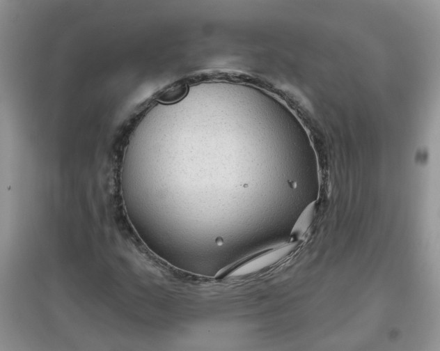 X0000097651159200803142103