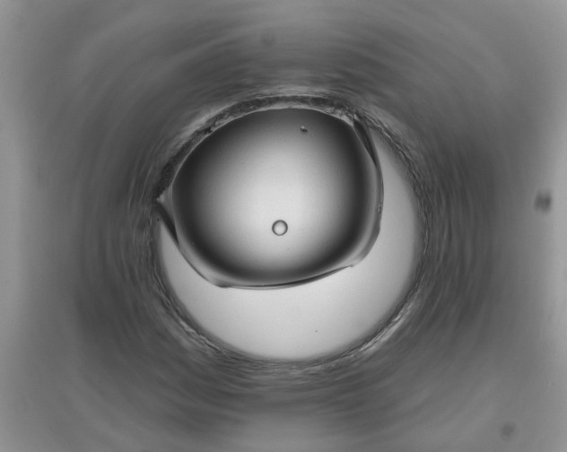 X0000097651161200803142103