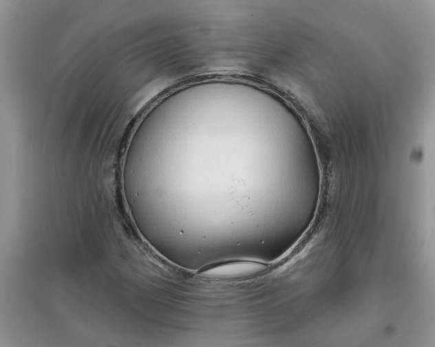 X0000097651162200803142103