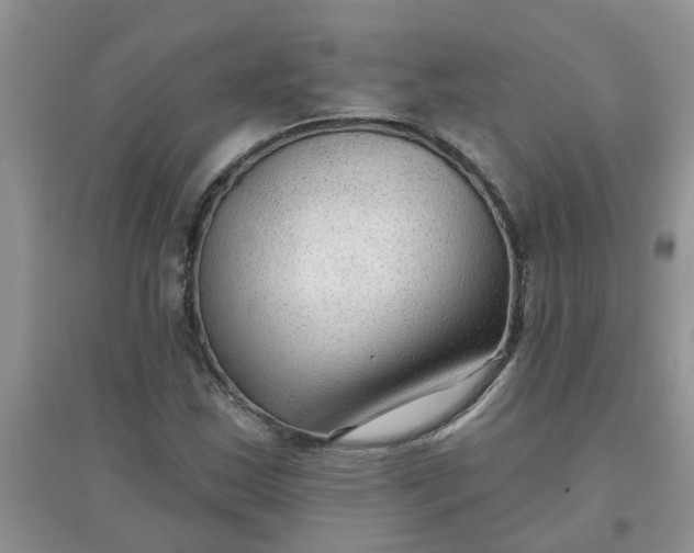 X0000097651163200803142103