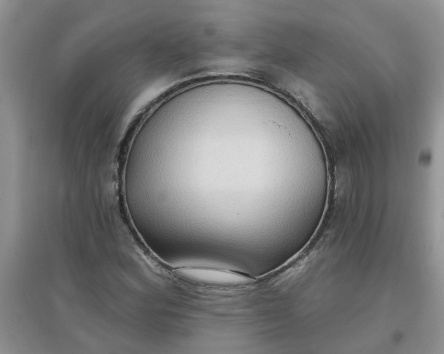 X0000097651164200803142103