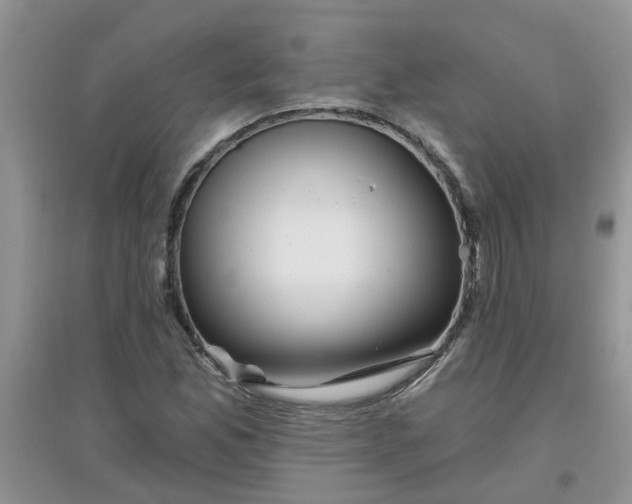 X0000097651165200803142103