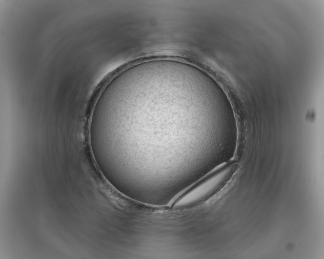 X0000097651166200803142103