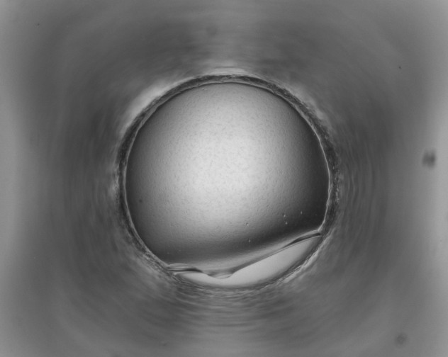 X0000097651167200803142103