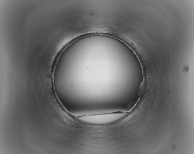 X0000097651168200803142103