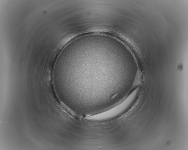 X0000097651169200803142103