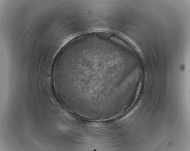 X0000097651170200803142103