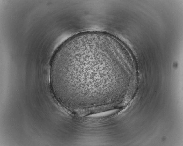 X0000097651171200803142103