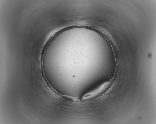 X0000097651176200803142103