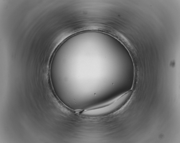 X0000097651178200803142103