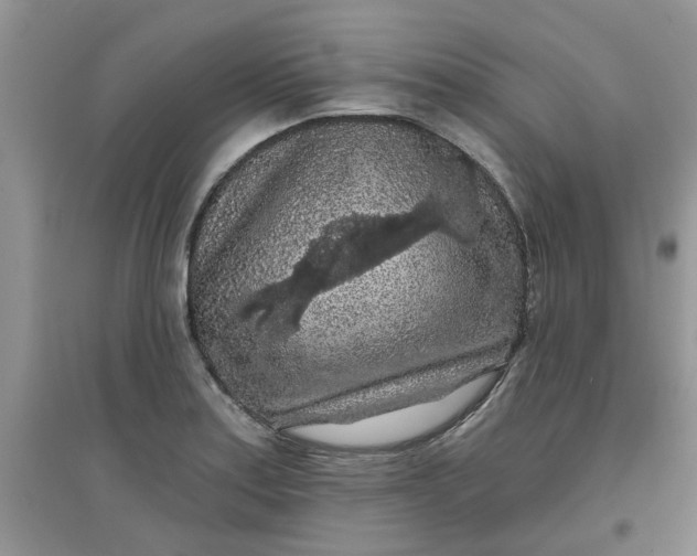 X0000097651179200803142103