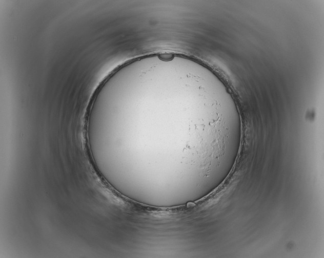 X0000097651182200803142103