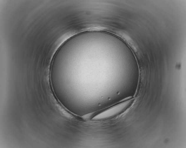 X0000097651186200803142103