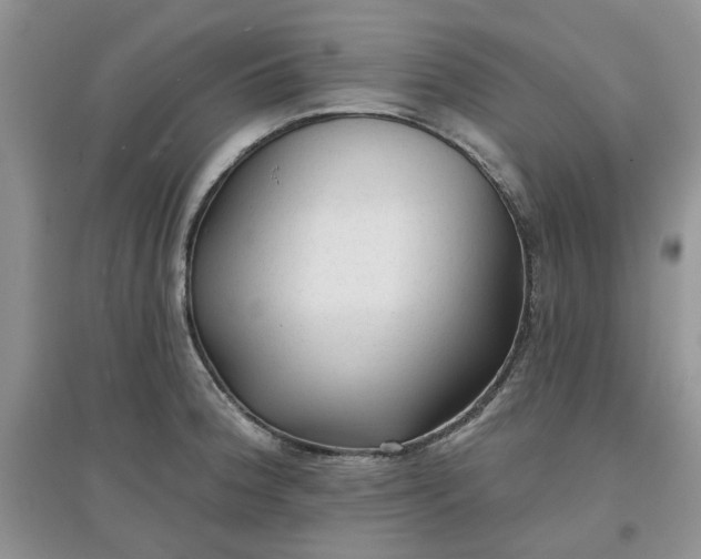 X0000097651188200803142103