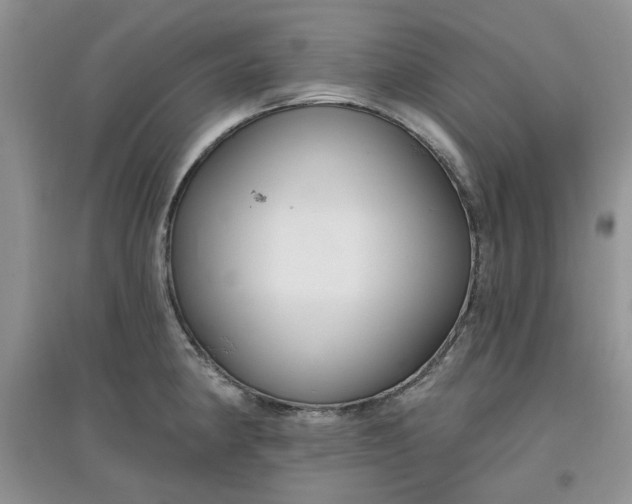 X0000097651190200803142103