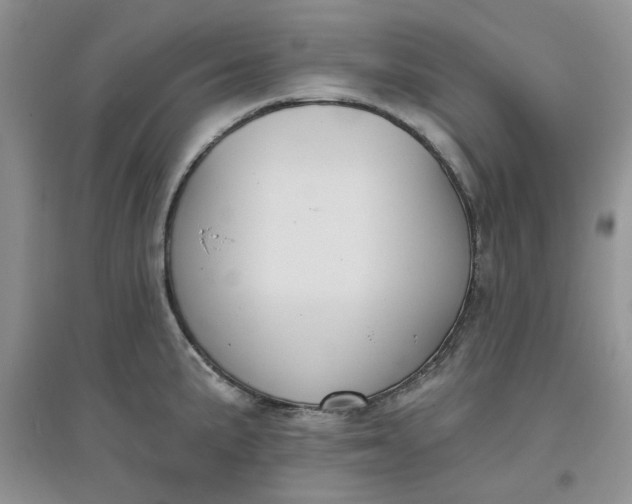 X0000097651191200803142103