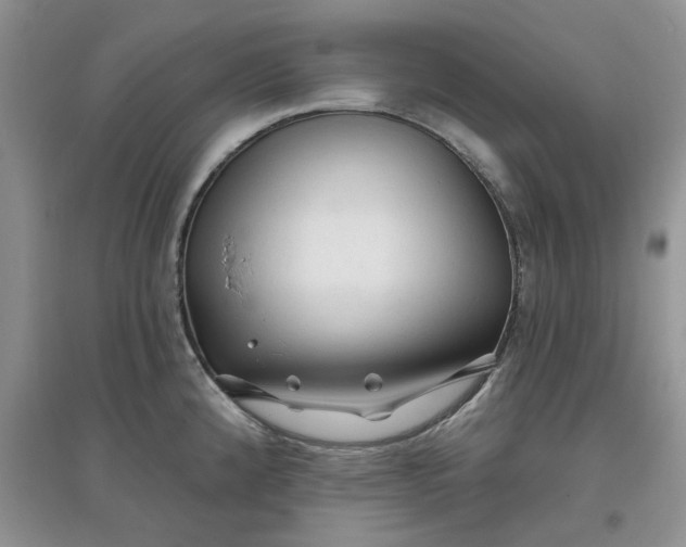 X0000097651192200803142103