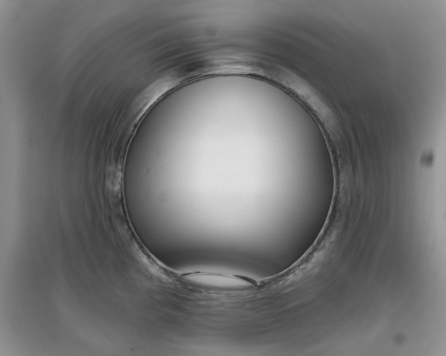 X0000097651193200803142103