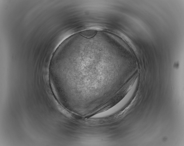 X0000097651194200803142103