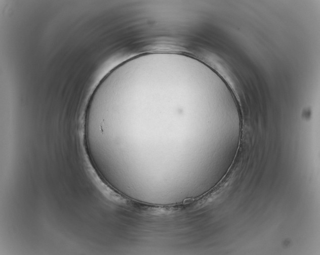 X0000097651195200803142103