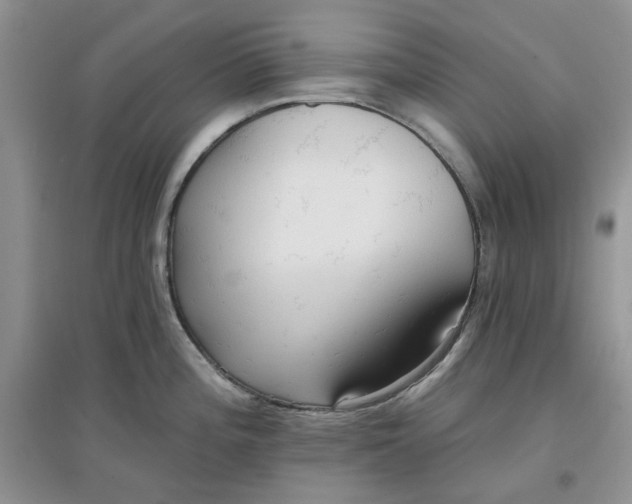 X0000097651196200803142103