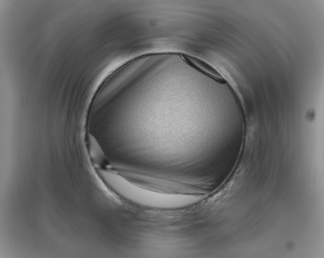 X0000097651197200803142103