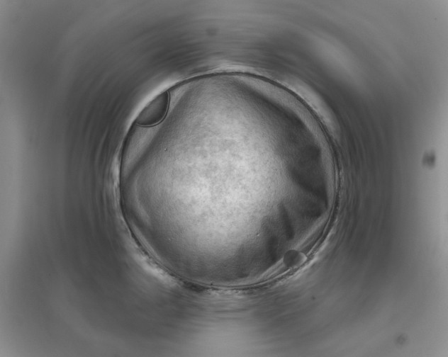 X0000097651198200803142103