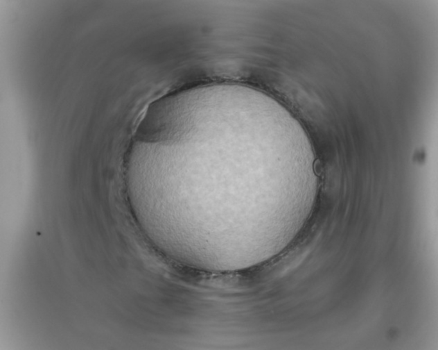 X0000097651201200803142102