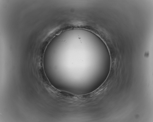 X0000097651205200803142102