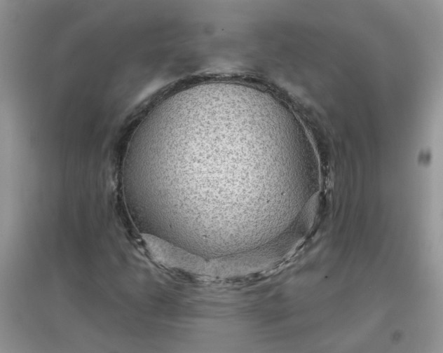 X0000097651206200803142102