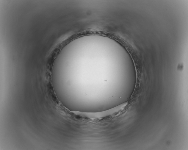 X0000097651207200803142102