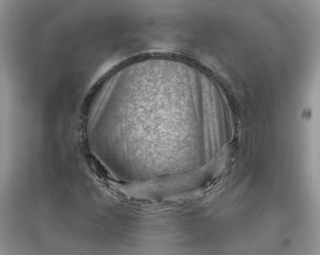 X0000097651208200803142102