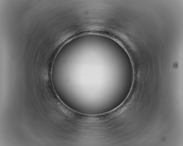 X0000097651209200803142102