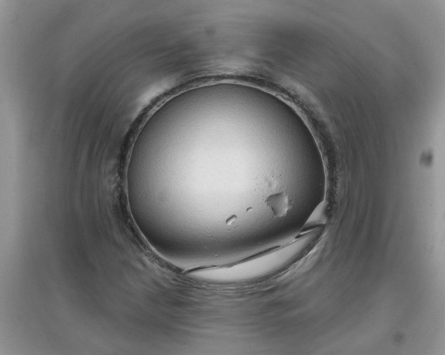 X0000097651210200803142102