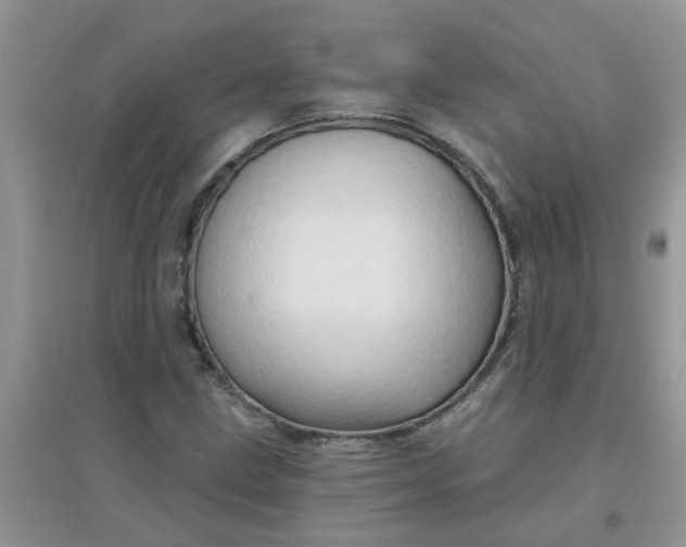 X0000097651211200803142102