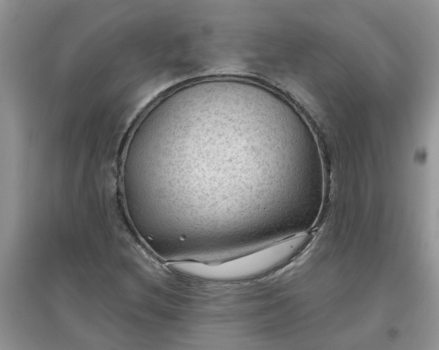 X0000097651212200803142102