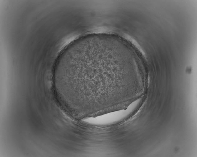 X0000097651213200803142102