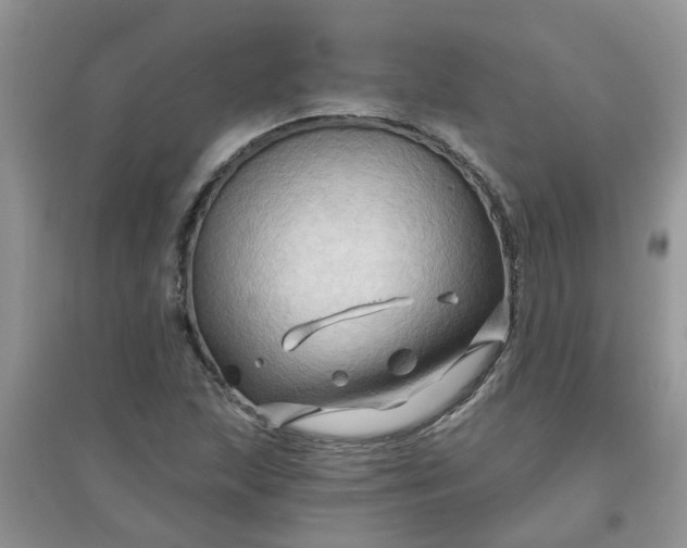 X0000097651215200803142102