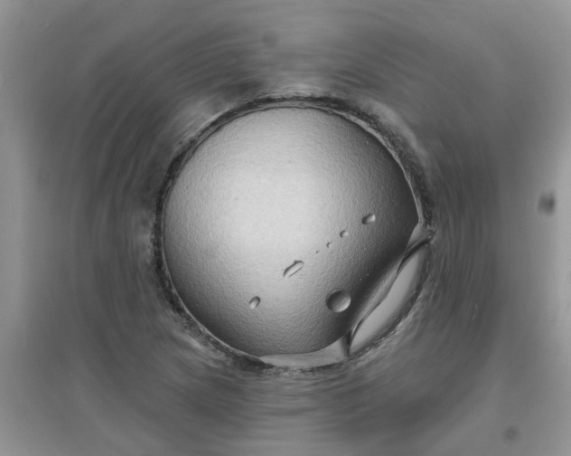 X0000097651217200803142102