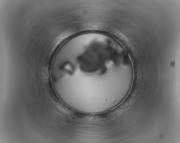 X0000097651218200803142102