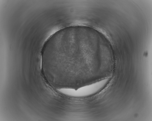 X0000097651219200803142102