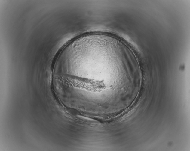 X0000097651221200803142102