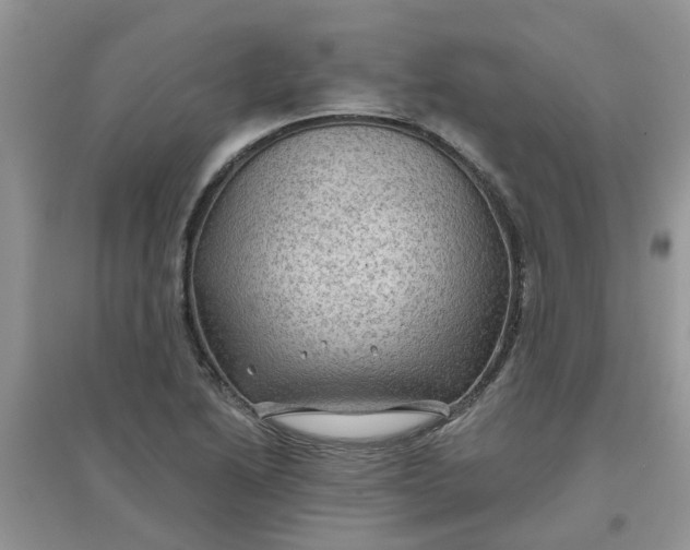 X0000097651222200803142102