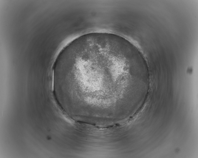 X0000097651223200803142102