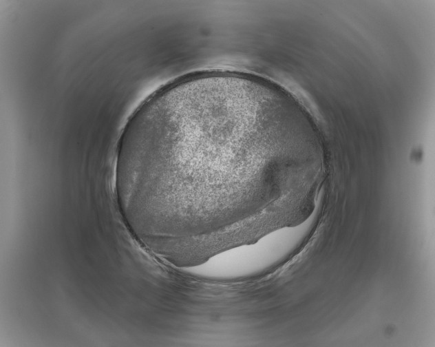 X0000097651224200803142102