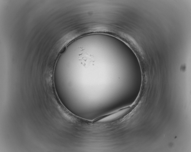 X0000097651225200803142102