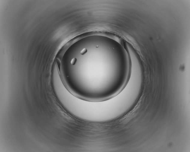 X0000097651226200803142102