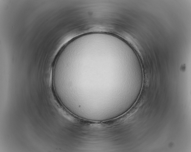 X0000097651227200803142102