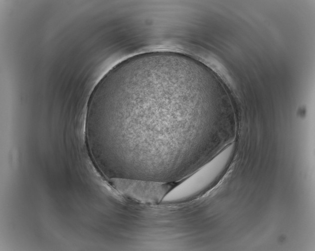 X0000097651228200803142102